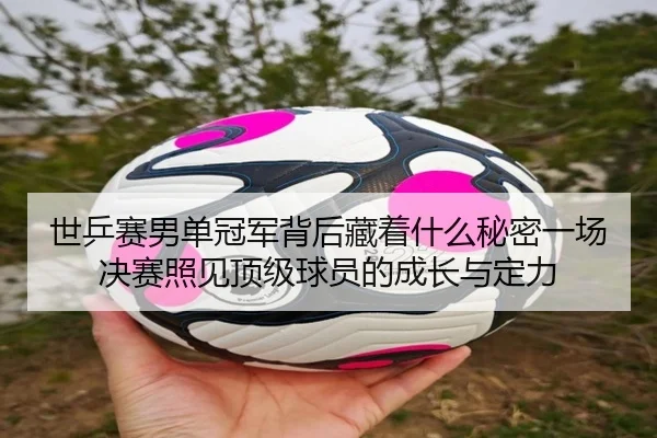 世乒赛男单冠军背后藏着什么秘密一场决赛照见顶级球员的成长与定力